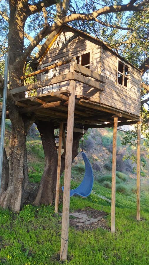 The African House Tolox Dış mekan fotoğraf